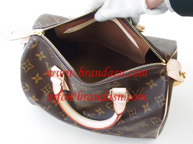 CEBg LOUISVUITTON mO@Xs[fB25 M41528